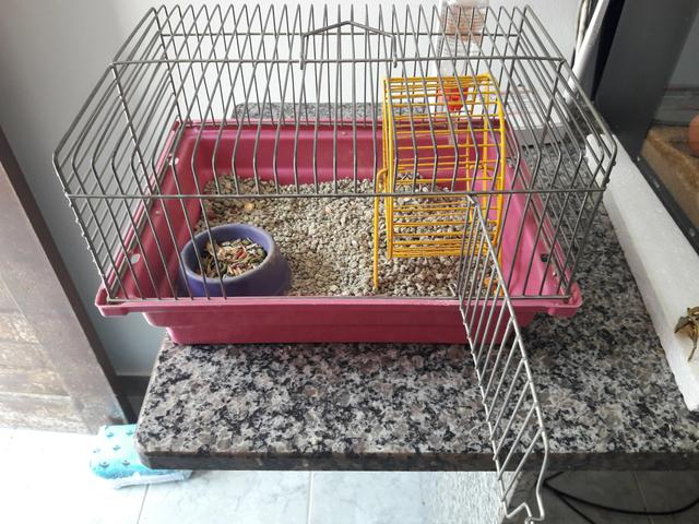 Gaiola completa + Hamster - Foto 2