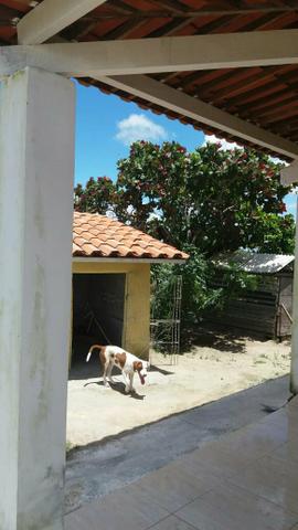 Linda chácara - Foto 11