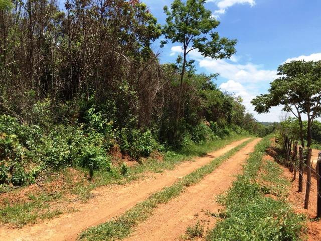 Lote 300 metros Sem Entrada ,Sem Analise de Renda e 350,00 mensais - Foto 4