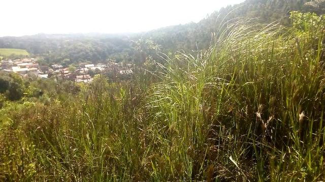Terreno para Venda, 20.000,00 m² São Bento do Sul / SC, bairro Oxford - Foto 5