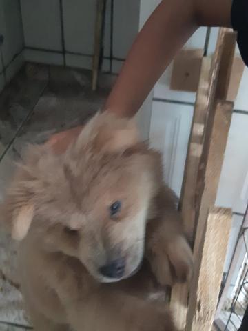 Vendo * - Foto 4