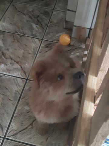 Vendo * - Foto 3