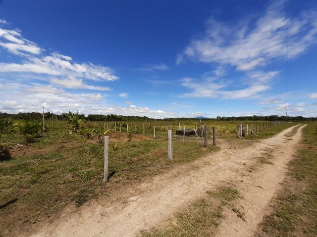 Fazenda com 160 hectares em Mucajai/RR, ler descrição do anuncio - Foto 16