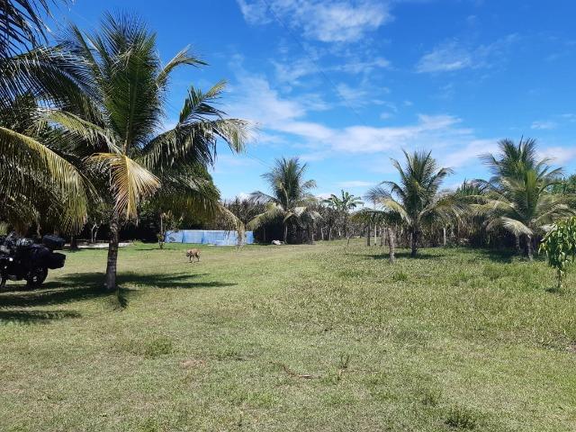 Fazenda com 160 hectares em Mucajai/RR, ler descrição do anuncio - Foto 2