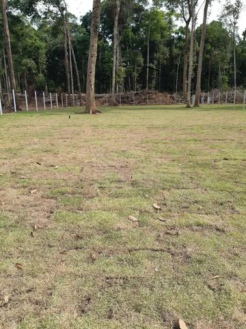 Chácaras Rio Negro, Lotes 1.000 m², a 15 minutos da ponte rio negro;:[ - Foto 18