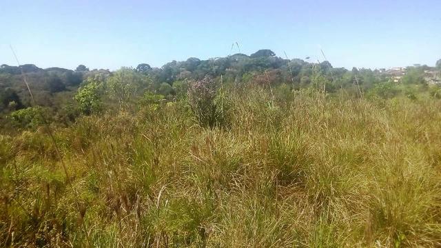 Terreno para Venda, 20.000,00 m² São Bento do Sul / SC, bairro Oxford - Foto 4