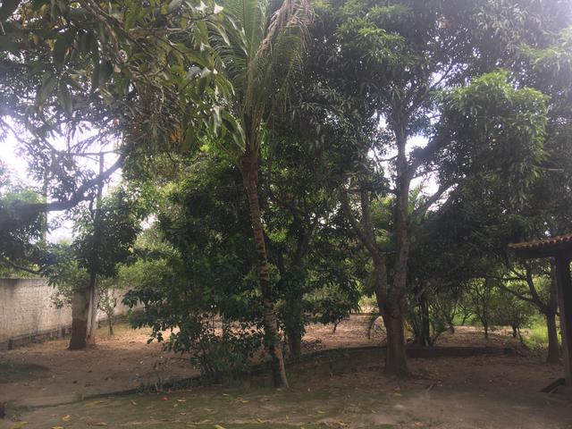 Chácara em Araruama - Foto 4