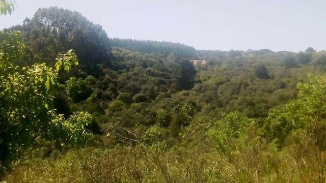 Terreno para Venda, 20.000,00 m² São Bento do Sul / SC, bairro Oxford - Foto 9