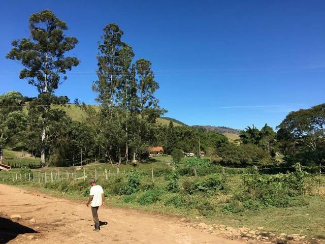 Vendo Fazenda Lorena - Foto 3