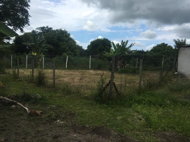 Chácara em Araruama - Foto 5