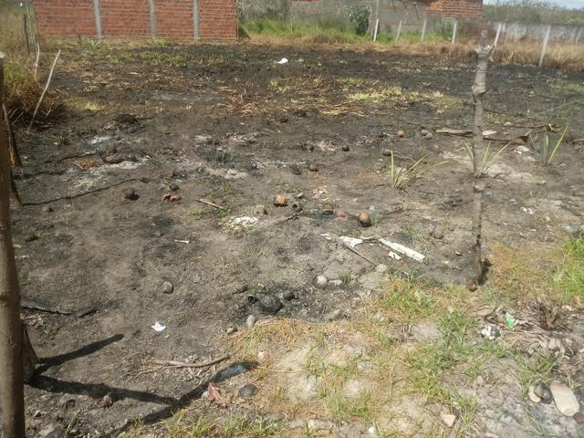 Terreno 12x30 - Foto 4