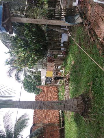 Vendo uma casa