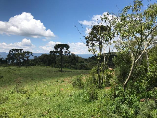Sítio em Urubici - Foto 11