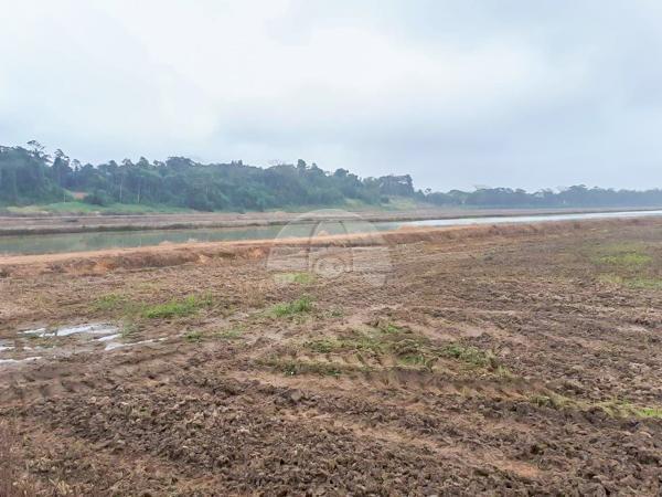 Chácara à venda em Barra do saí, Itapoá cod:149677 - Foto 10