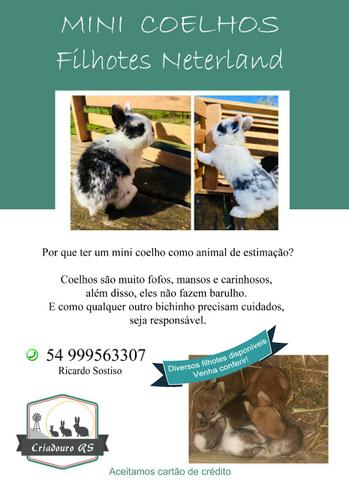 Vendo neterland