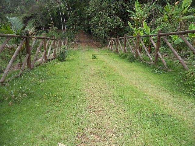 Domingo martins - Foto 3