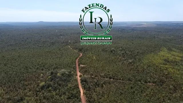 Fazenda 210 Alqueires  Agricultável Proximo Palmas - Foto 5