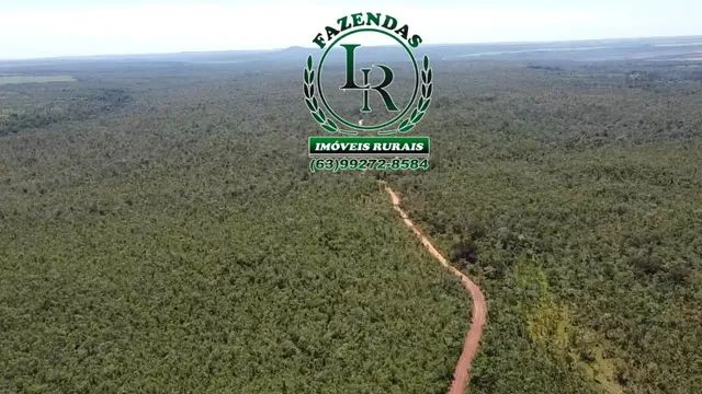 Fazenda 210 Alqueires  Agricultável Proximo Palmas - Foto 2