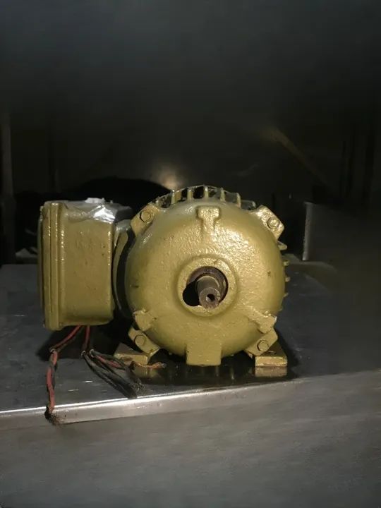 Motor elétrico EBERLE - Trifásico 1/3 CV - RPM 1700 Eixo 14