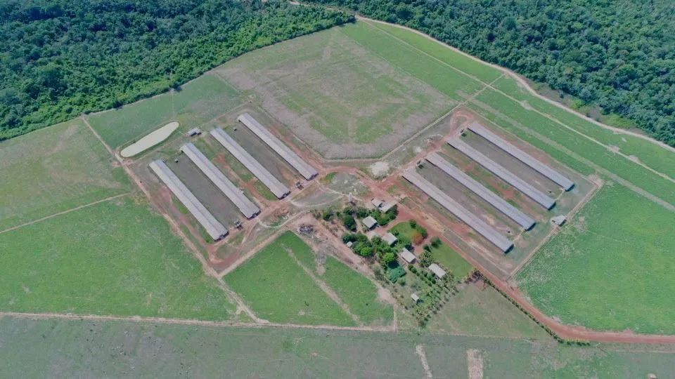 Graja de frango em Lucas do rio verde MT. 90 hect. 8 barracões 15 milhões - Foto 4