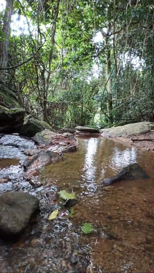 foto - Pirenópolis - 