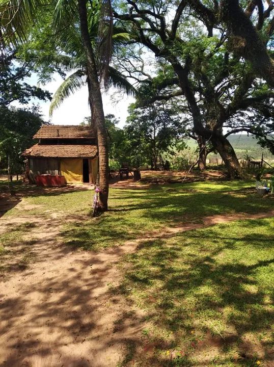 Excelente Propriedade Cianorte 14 Alqueires - Foto 9