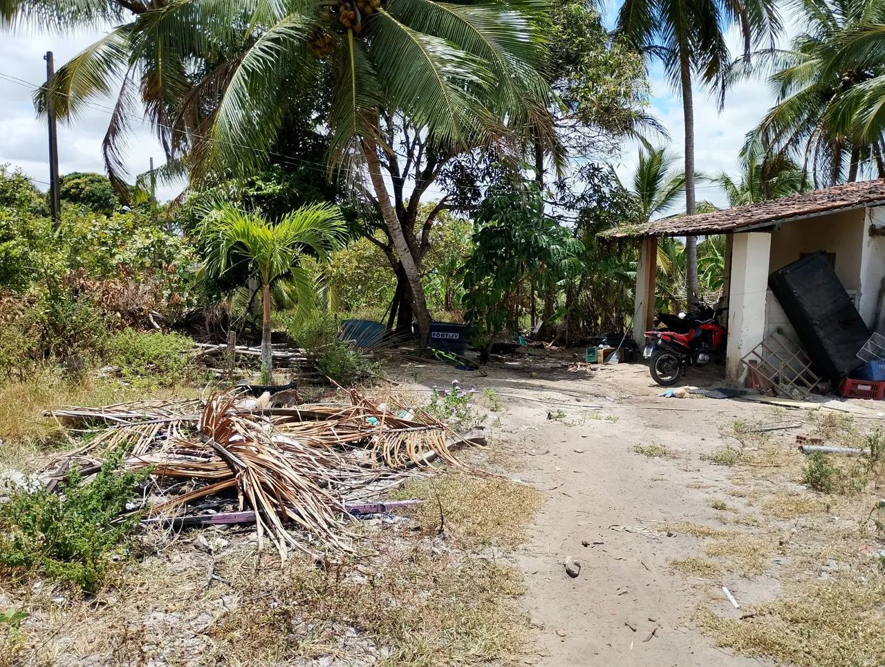 Terreno com uma pequena casa - Foto 4