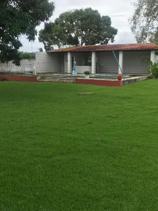 Fazenda / Chácara / Granja - Foto 15