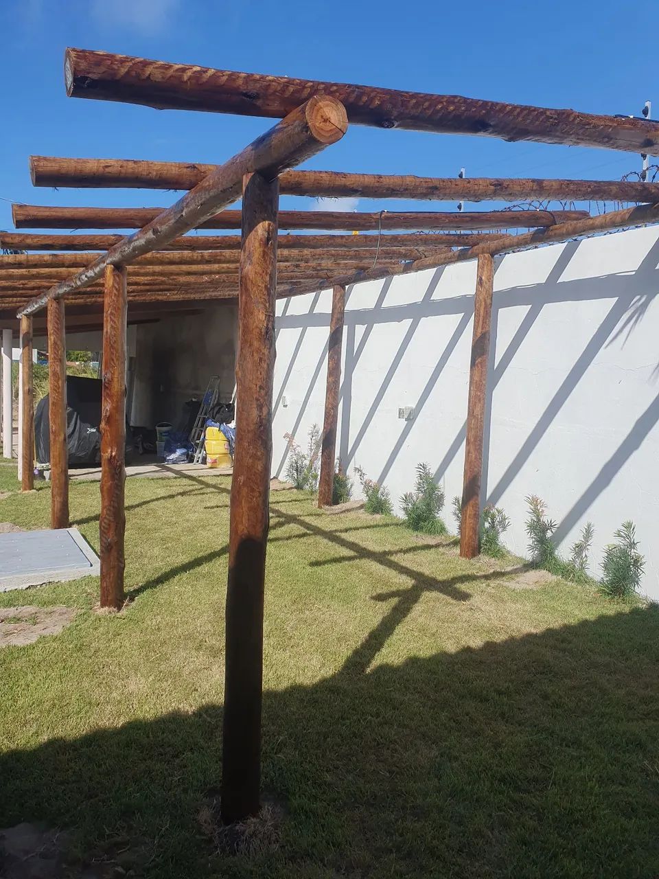 Carpinteiro Profissional 