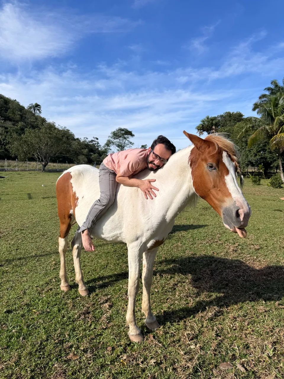 Cavalo castrado marcha batida - Foto 5