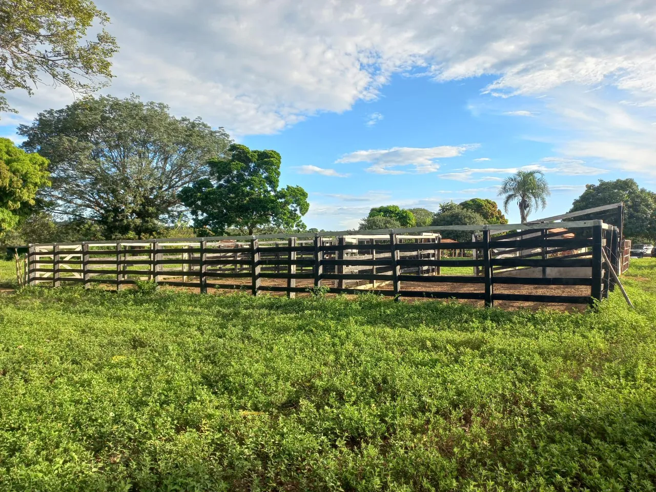 Vendo Fazenda 447 Hectares Noroeste Mineiro