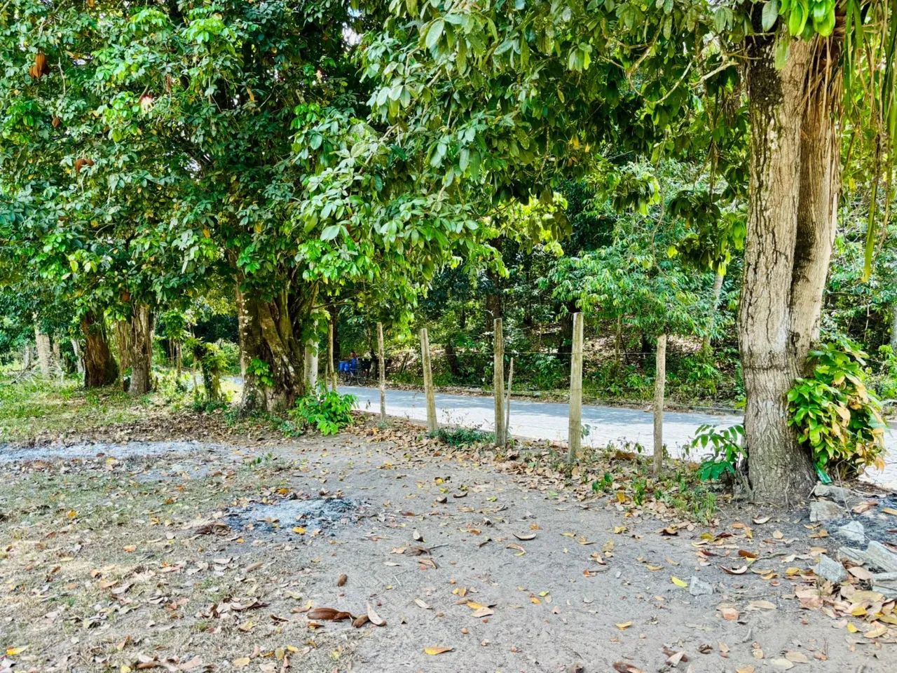 Foto - Camaragibe - Aldeia dos Camarás