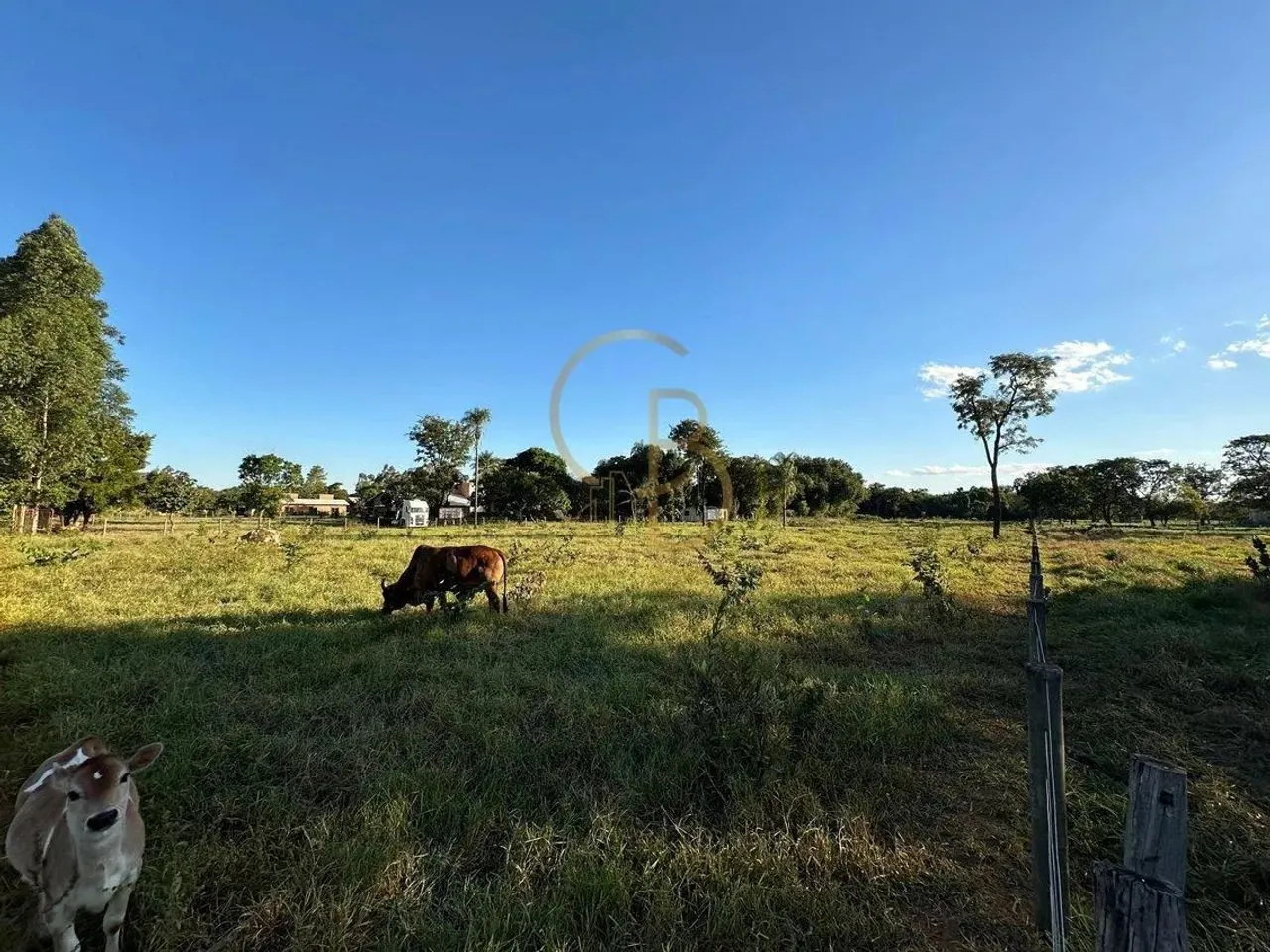 O CAMPO ESTÁ CHAMANDO: TERRENO DE 1 HECTARE PRONTO PARA SUA CHÁCARA!
