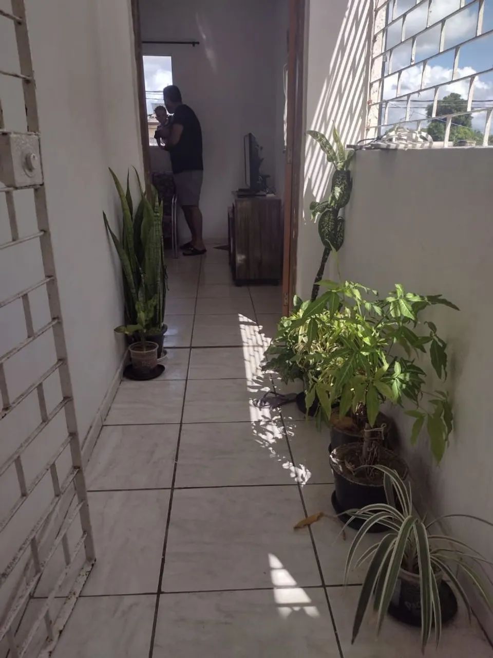 Foto - Recife - Ipsep