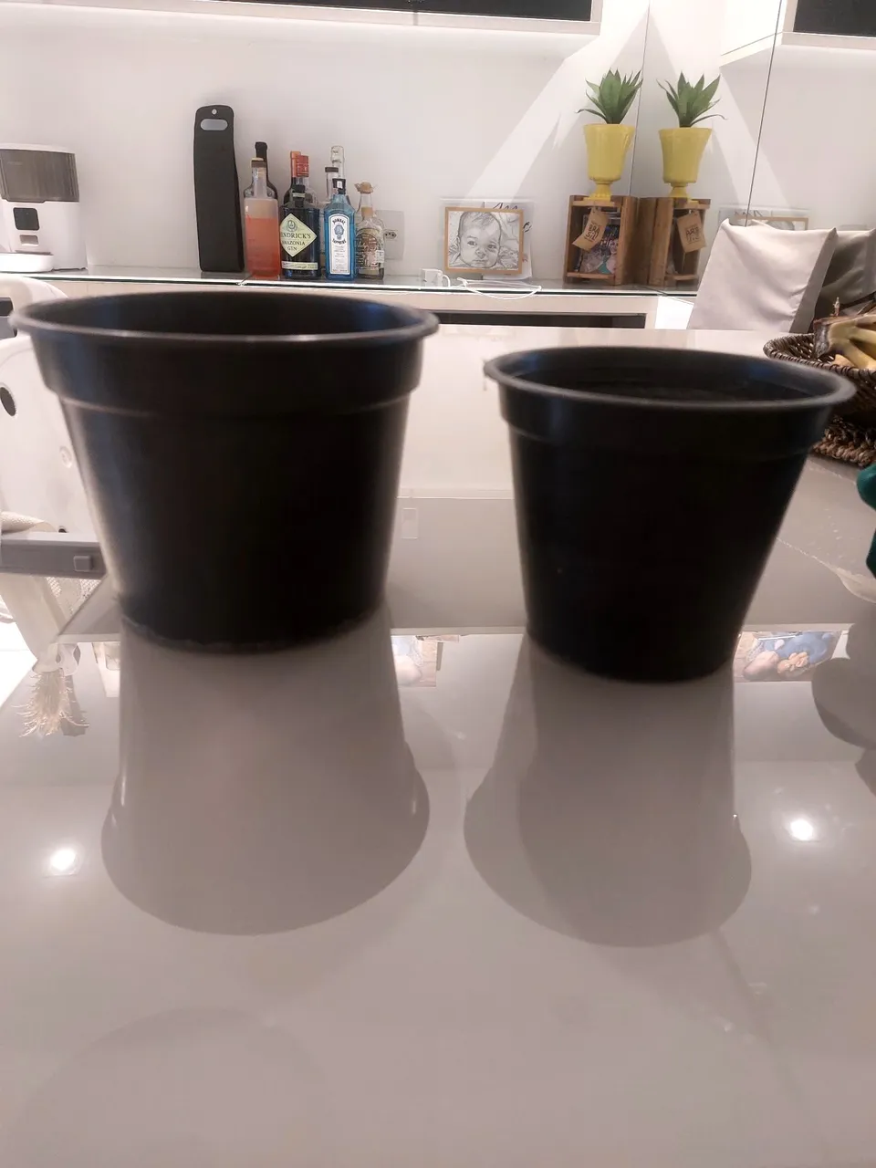 Vasos de plantas pretos