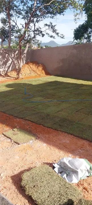 Jardinagem Roçadeira  - Foto 5