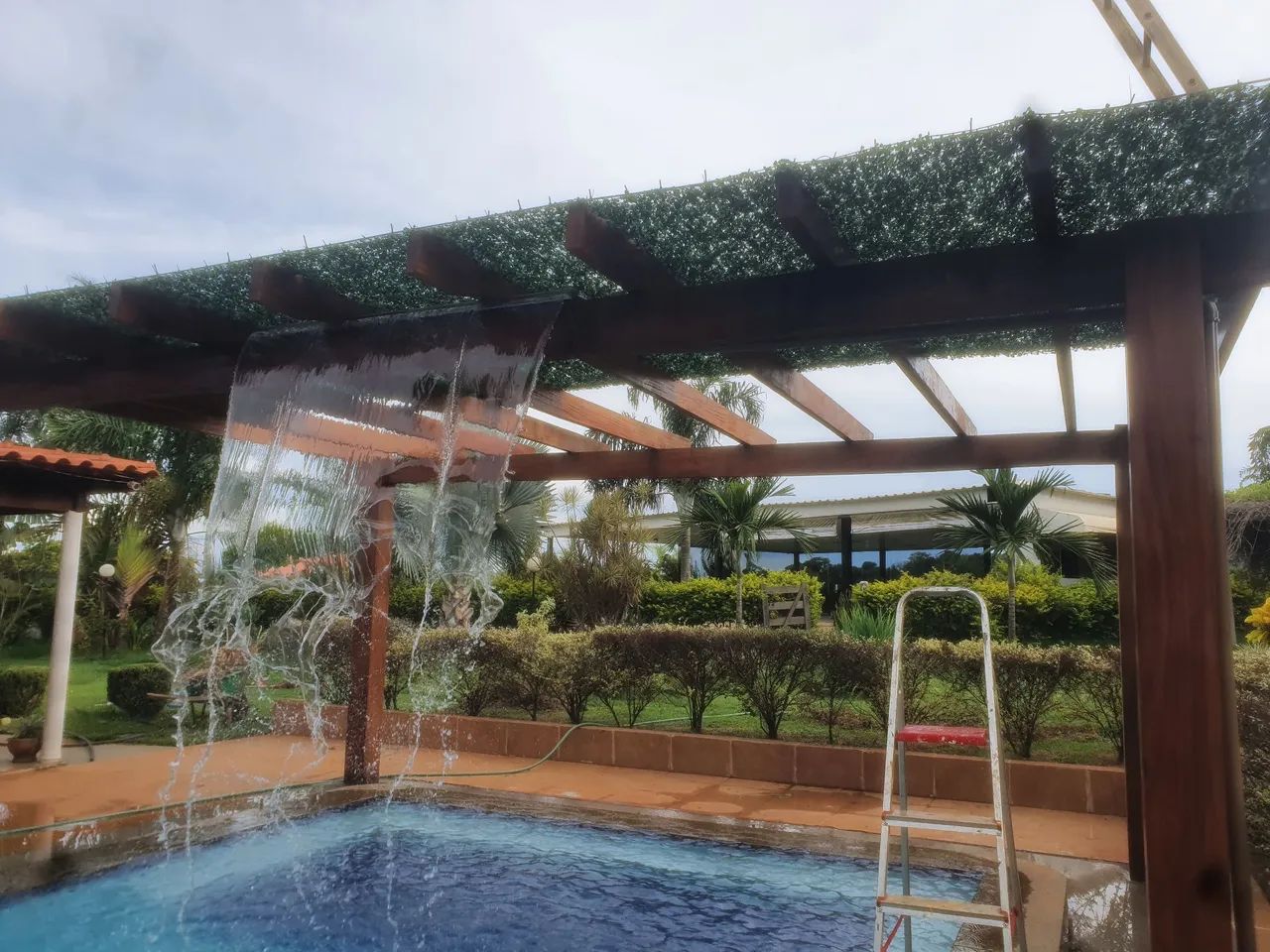 Cobertura verde para pergolados  - Foto 4