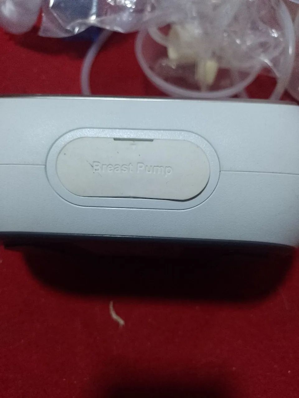 Ordenia umana  - Foto 6