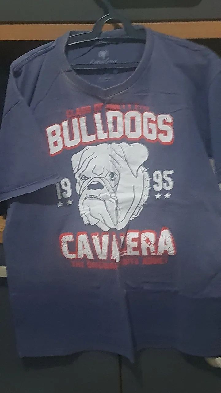 Bazar: Camisetas G e GG - Foto 3
