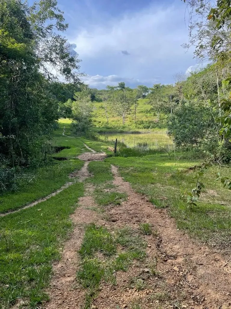 Fazenda à Venda 117,3 Hectares em Luziânia-GO