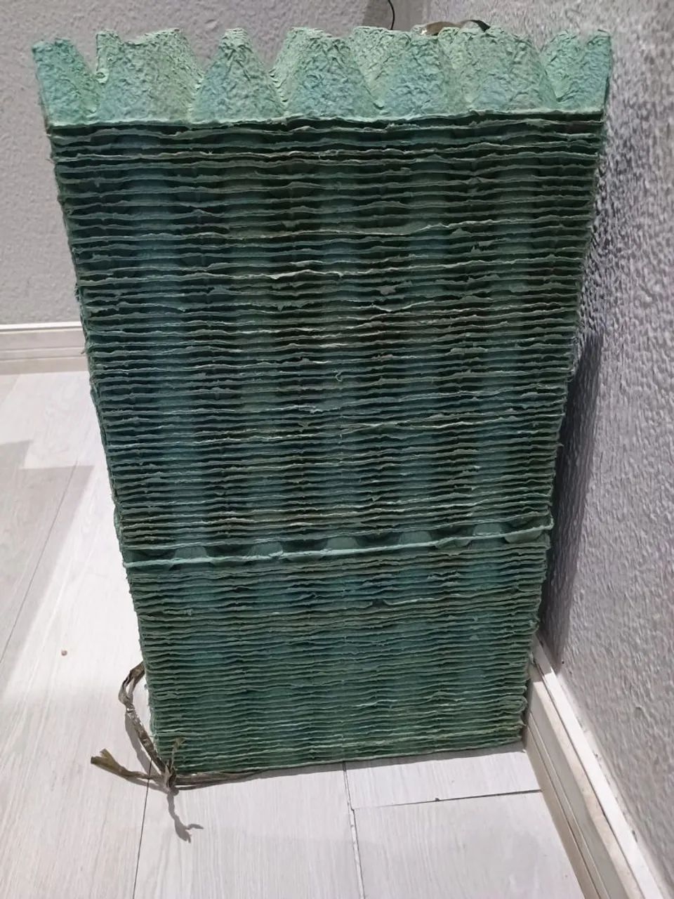 Kit de 100 cartelas vazias para trinta ovos de galinha  - Foto 3