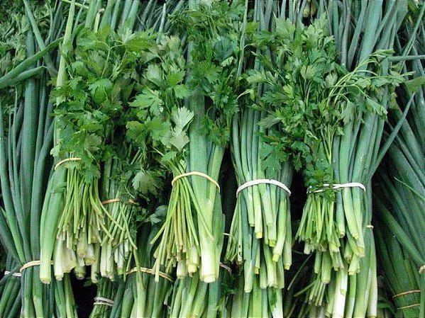 FORNECEDOR DE HORTALIÇAS GOIANIA - Foto 3