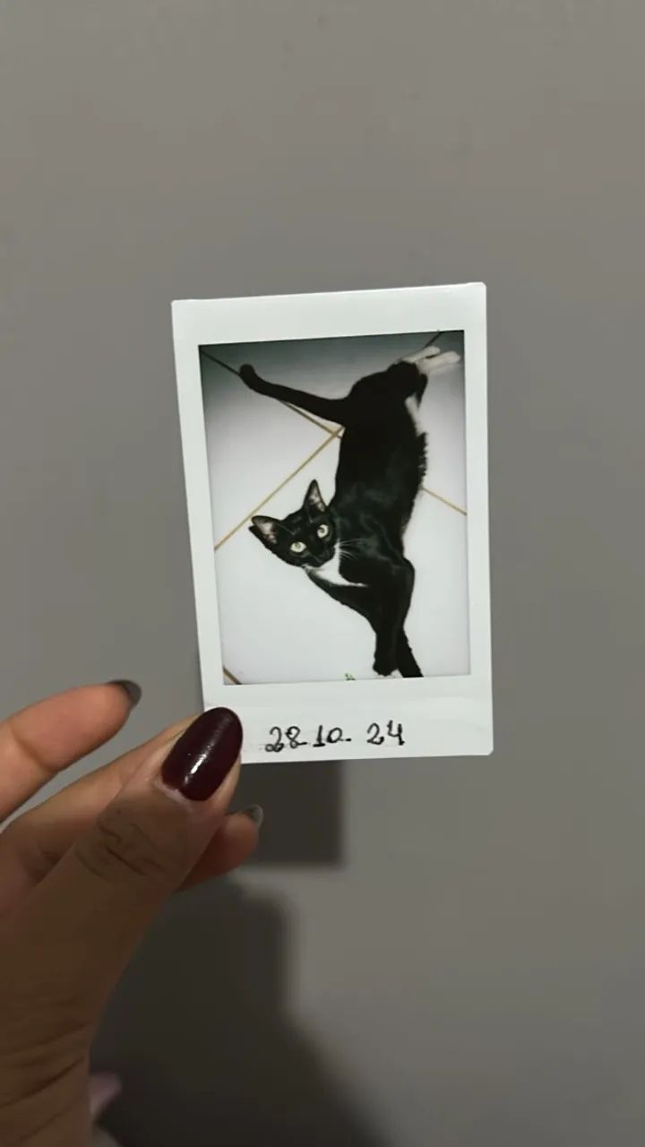 Câmera Polaroid Instax mini 9 - Foto 4