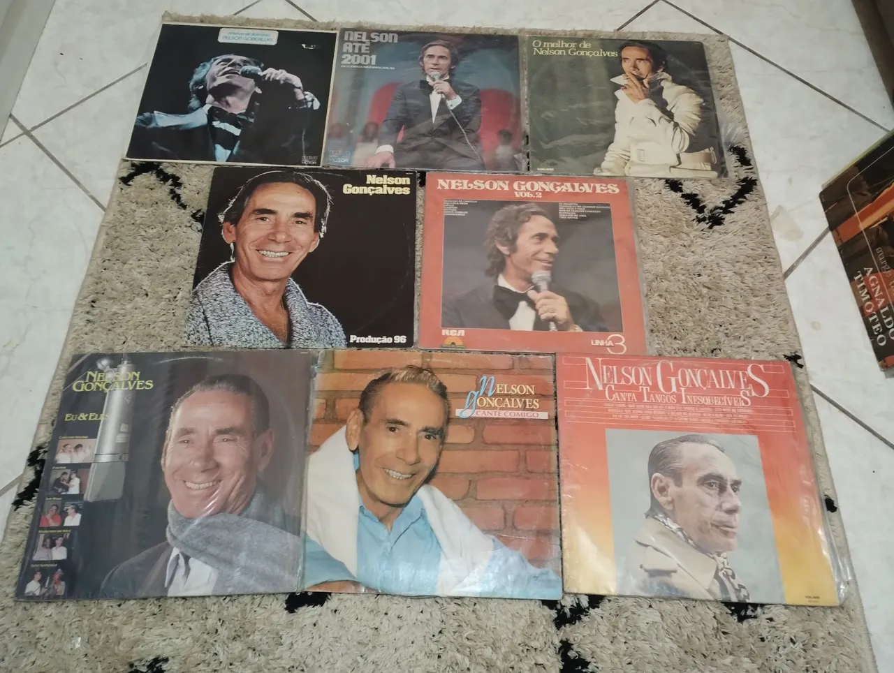 Coleção de Discos de Vinil do Nelson Gonçalves