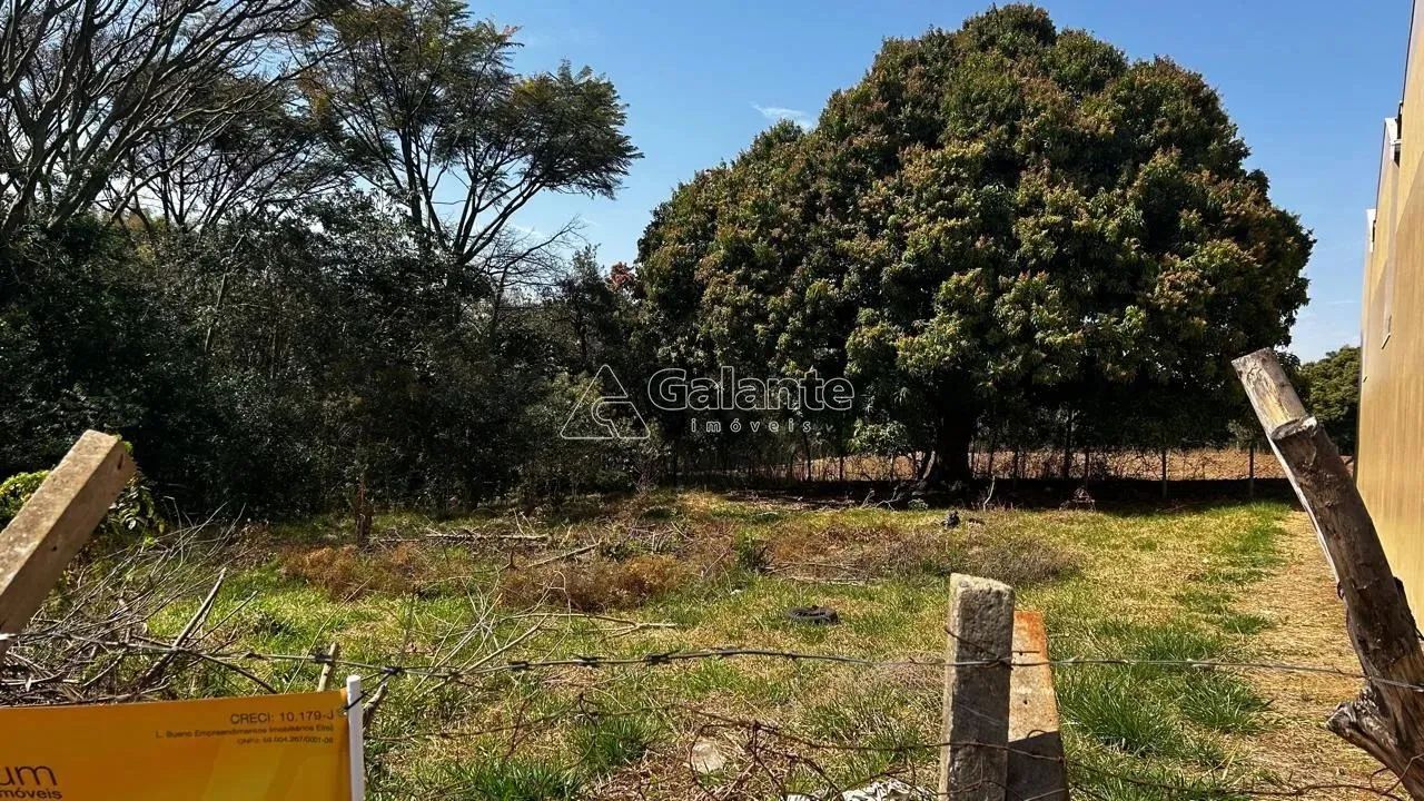 terreno - Cidade Universitária - Campinas - Foto 4