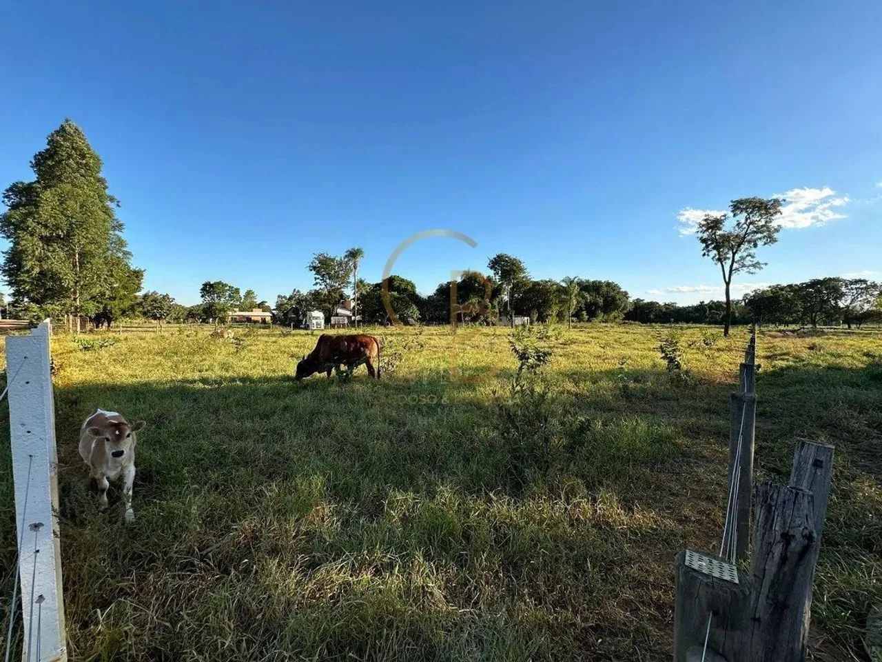 O CAMPO ESTÁ CHAMANDO: TERRENO DE 1 HECTARE PRONTO PARA SUA CHÁCARA! - Foto 2