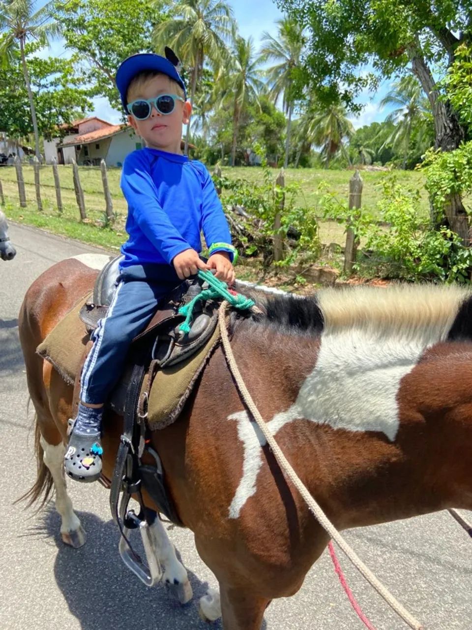 Pônei Piquira égua Pampa de Castanho - Foto 2