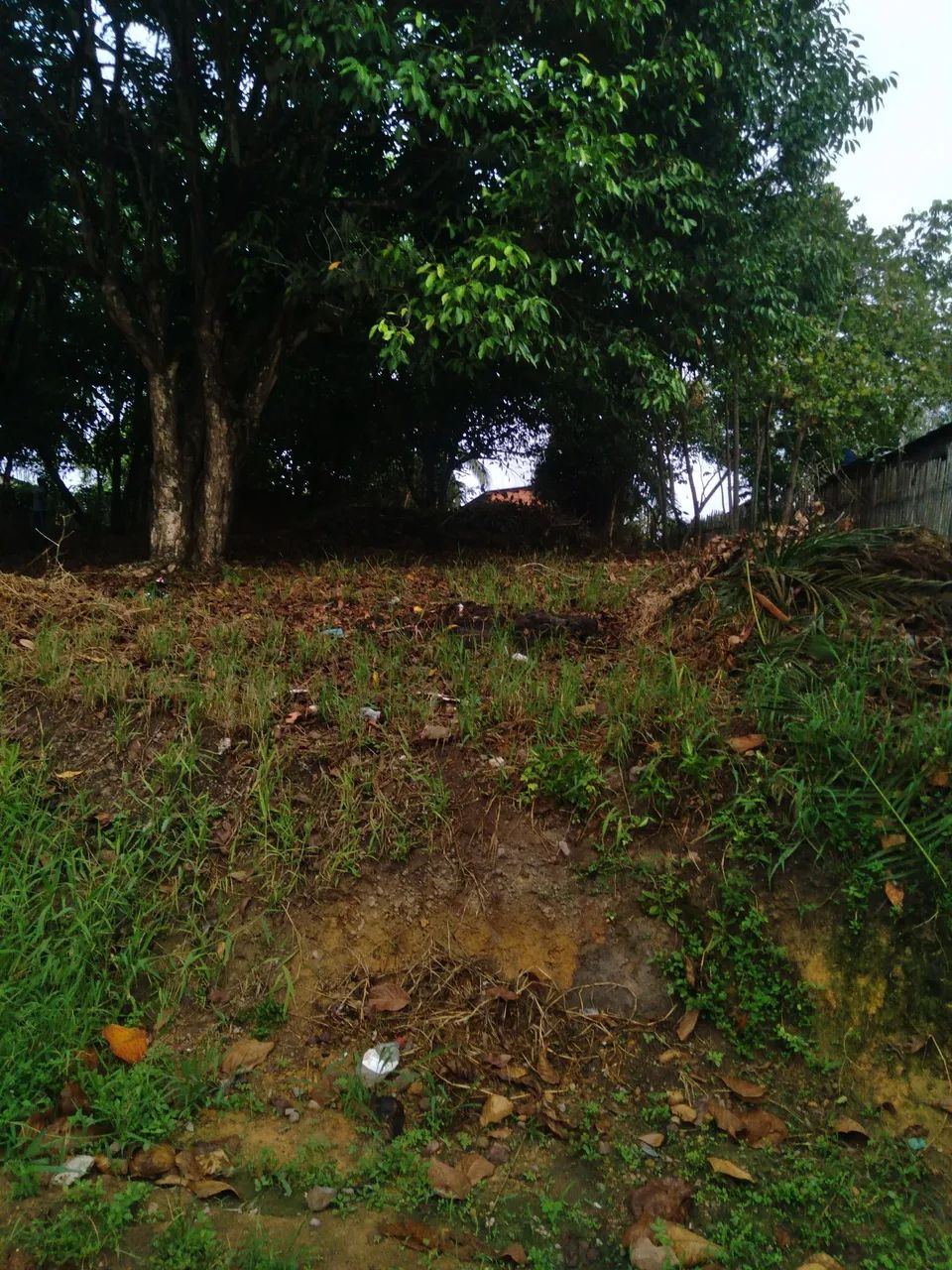 Foto - Macapá - Zerão
