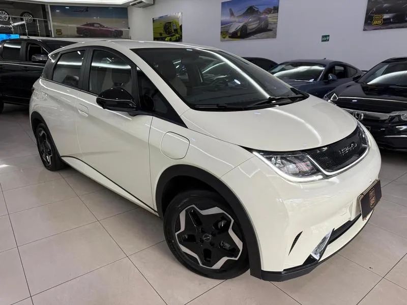BYD Dolphin GS (Elétrico) 2024