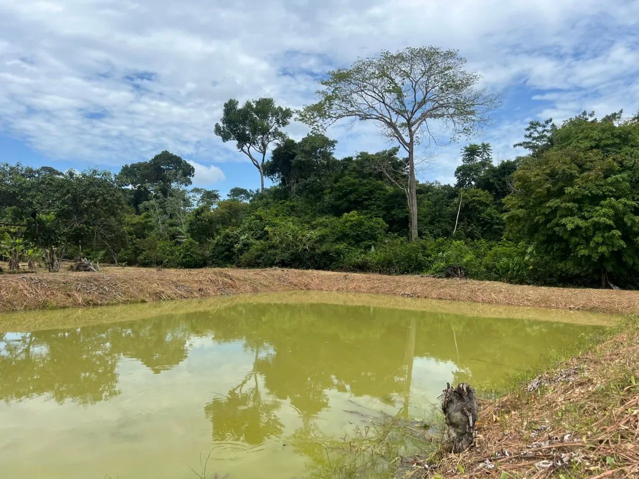 Vende se um sítio na linha do caju - Foto 3